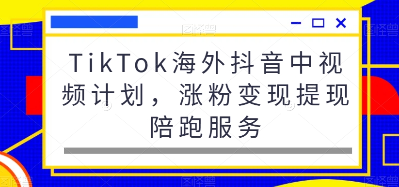 TikTok海外抖音中视频计划，涨粉变现提现陪跑服务-创薯资源
