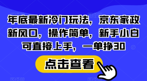 年底最新冷门玩法，京东家政新风口，操作简单，新手小白可直接上手，一单挣30【揭秘】-创薯资源