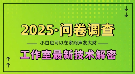 2025问卷调查最新工作室技术解密：一个人在家也可以闷声发大财，小白一天2张，可矩阵放大【揭秘】-创薯资源