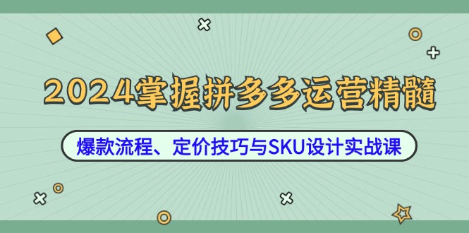 2024掌握拼多多运营精髓：爆款流程、定价技巧与SKU设计实战课-创薯资源