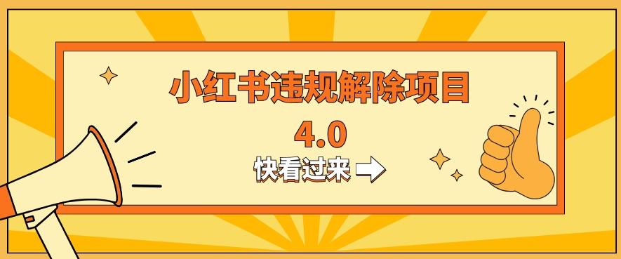 小红书违规掘金蓝海项目，日入800+（附带引流办法及解除办法）-创薯资源