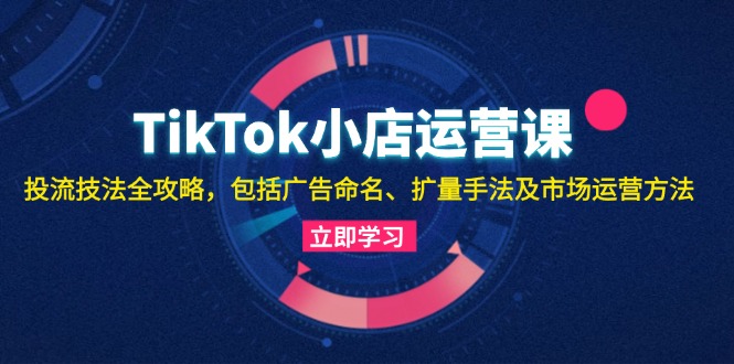 TikTok小店运营课：投流技法全攻略，包括广告命名 扩量手法及市场运营方法-创薯资源