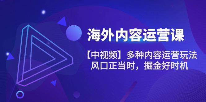 海外内容 运营课【中视频】多种内容运营玩法 风口正当时 掘金好时机-101节-创薯资源