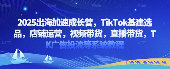 2025出海加速成长营，TikTok基建选品，店铺运营，视频带货，直播带货，TK广告投流等系统教程-创薯资源