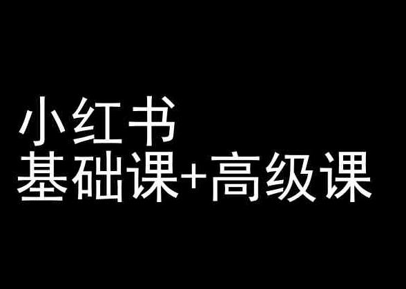 小红书基础课+高级课-小红书运营教程-创薯资源