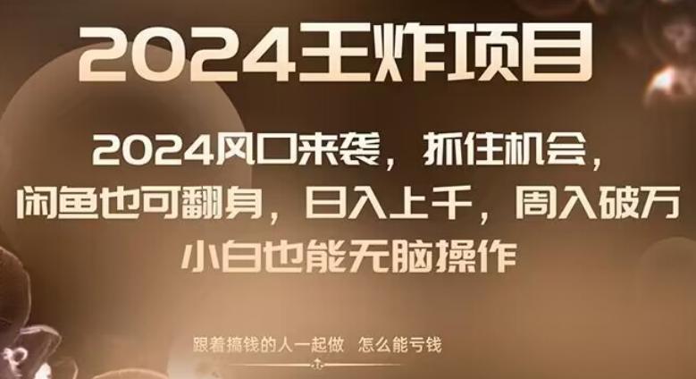 2024风口项目来袭，抓住机会，闲鱼也可翻身，日入上千，周入破万，小白也能无脑操作-创薯资源