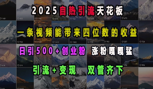 2025自热引流天花板，一条视频能带来四位数的收益，引流+变现双管齐下，日引500+创业粉，涨粉嘎嘎猛-创薯资源