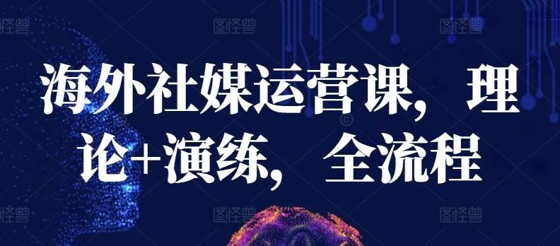 海外社媒运营课，理论+演练，全流程-创薯资源