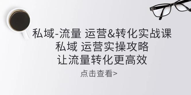 私域-流量 运营&转化实操课：私域 运营实操攻略 让流量转化更高效-创薯资源