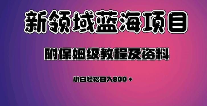 虚拟资源蓝海领域新项目，轻松日入800＋，附保姆级教程及资料-创薯资源