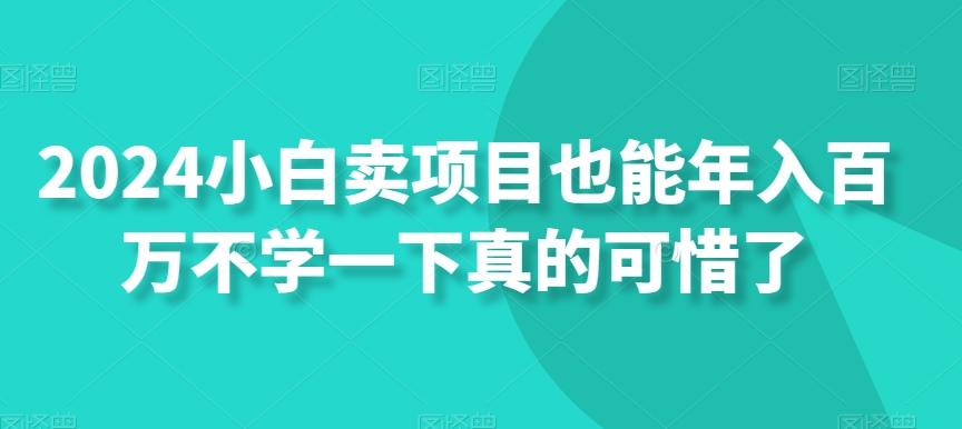 2024小白卖项目也能年入百万不学一下真的可惜了-创薯资源