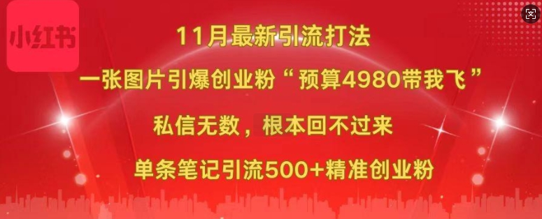 小红书11月最新图片打粉，一张图片引爆创业粉，“预算4980带我飞”，单条引流500+精准创业粉-创薯资源