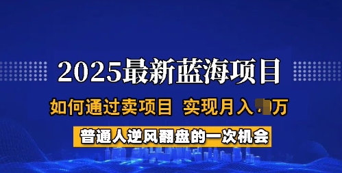 2025蓝海项目，普通人如何通过卖项目，实现月入过W，全过程【揭秘】-创薯资源