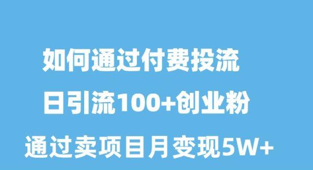 如何通过付费投流日引流100+创业粉月变现5W+-创薯资源