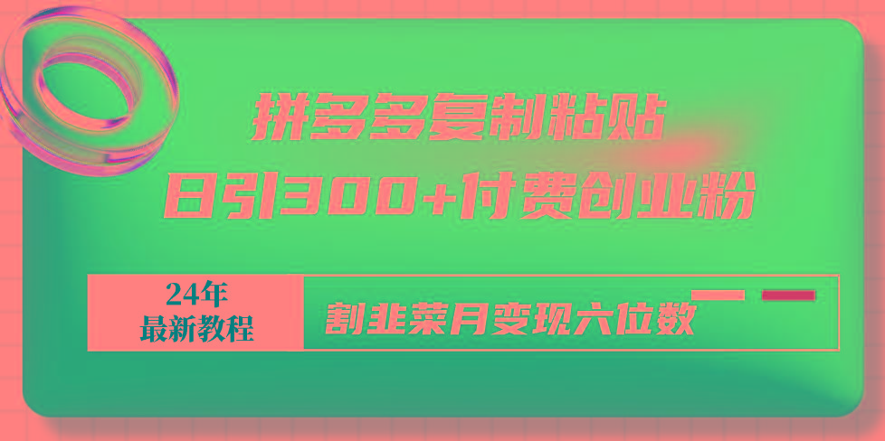 拼多多复制粘贴日引300+付费创业粉，割韭菜月变现六位数最新教程！-创薯资源