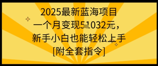 2025最新蓝海项目一个月变现1w+新手小白也能轻松上手【附全套指令】-创薯资源