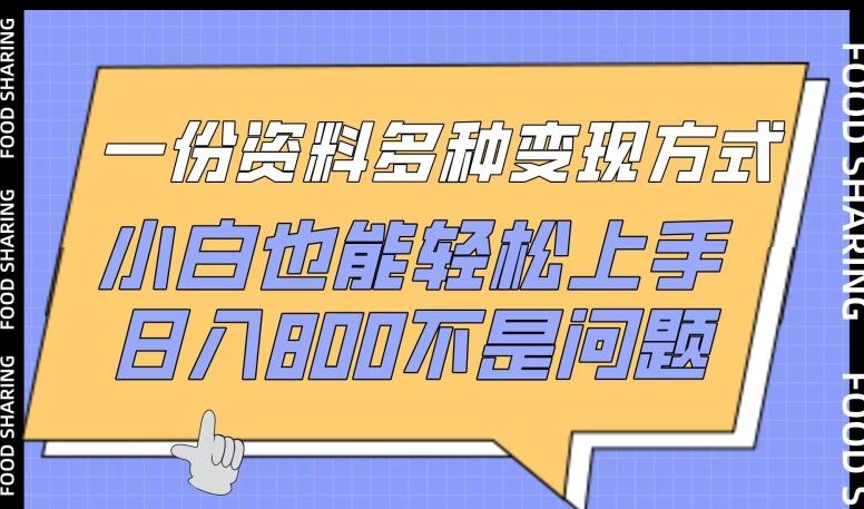 一份资料多种变现方式，小白也能轻松上手，日入800不是问题【揭秘】-创薯资源