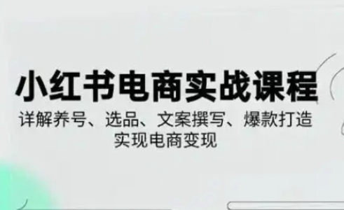 小红书从0-1实操课(2023-2025)，详解养号、选品、文案撰写、爆款打造实现电商变现-创薯资源
