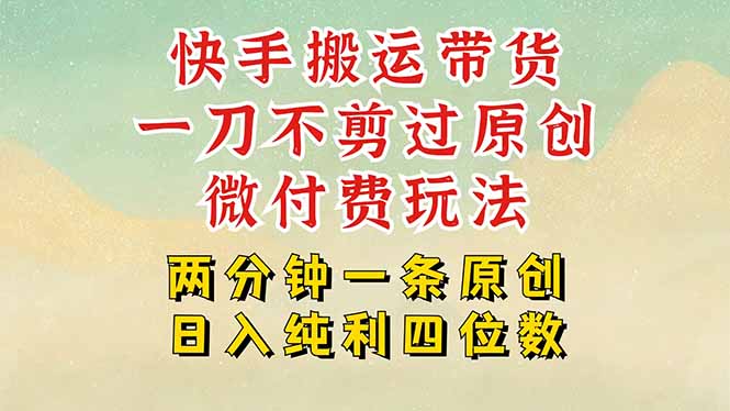 快手黑科技搬运带货，一刀不剪过原创，微付费投流玩法，轻松日入四位数…-创薯资源
