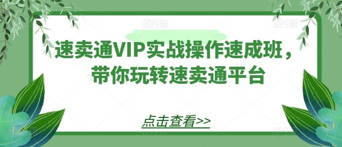 速卖通VIP实战操作速成班，带你玩转速卖通平台-创薯资源