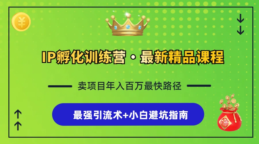 IP孵化训练营，知识付费全流程+最强引流术+小白避坑指南-创薯资源