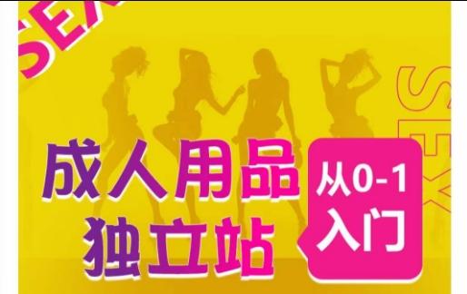 成人用品独立站从0-1入门，成品独立站运营全流程教学，七大好卖成品独立站推荐-创薯资源