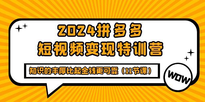 (9817期)2024拼多多短视频变现特训营，知识的丰厚比起金钱更可靠(11节课)-创薯资源