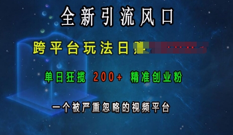 全新引流风口，跨平台玩法日入上k，单日狂揽200+精准创业粉，一个被严重忽略的视频平台-创薯资源