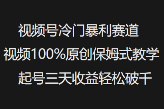 视频号冷门暴利赛道视频100%原创保姆式教学起号三天收益轻松破千-创薯资源