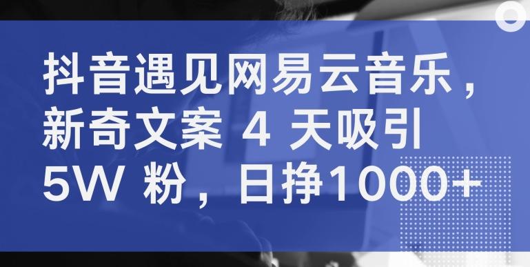 抖音遇见网易云音乐，新奇文案 4 天吸引 5W 粉，日挣1000+【揭秘】-创薯资源