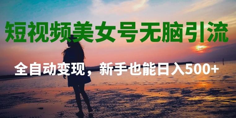 短视频美女号无脑引流，全自动变现，新手也能日入500+-创薯资源