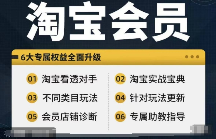 淘宝会员【淘宝所有课程，全面分析对手】，初级到高手全系实战宝典-创薯资源