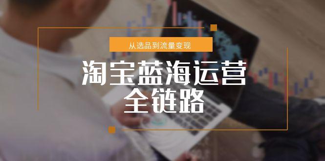 淘宝蓝海运营全链路，从选品到流量变现，小类目突围完整方案-创薯资源