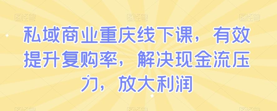 私域商业重庆线下课，有效提升复购率，解决现金流压力，放大利润-创薯资源