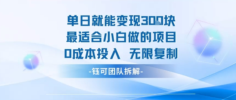 单日就能变现3张最适合小白做的项目0成本投入 无限复制-创薯资源