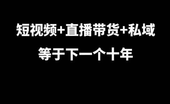 短视频+直播带货+私域等于下一个十年，大佬7年实战经验总结-创薯资源