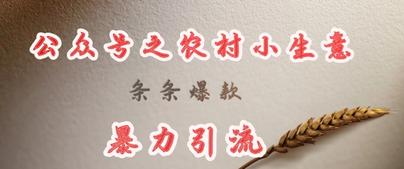deepseek写农村小项目，条条爆款，暴力引流-创薯资源