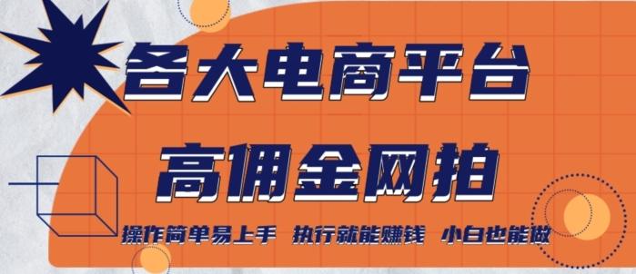 各大电商平台高佣金网拍，操作简单易上手，执行就能赚钱，小白也能做-创薯资源