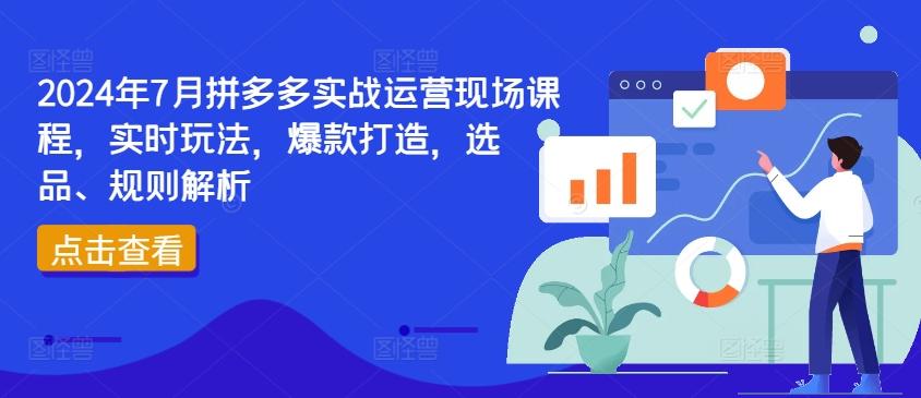 2024年7月拼多多实战运营现场课程，实时玩法，爆款打造，选品、规则解析-创薯资源