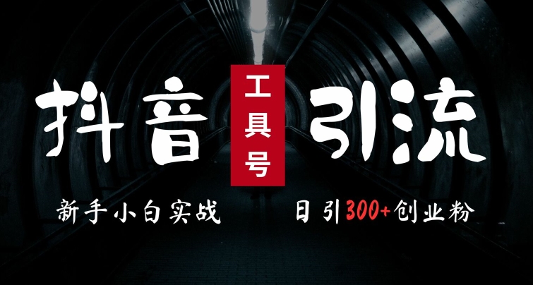 2024最新抖音工具号引流玩法，高效日引300+创业粉，当天变现5k，小白也可成为实战高手-创薯资源