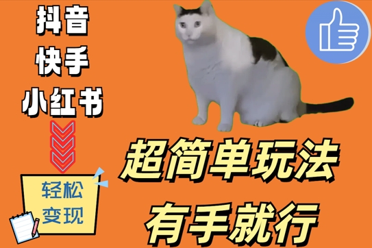 超简单玩法，有手就行，靠猫咪视频日入500+【揭秘】-创薯资源