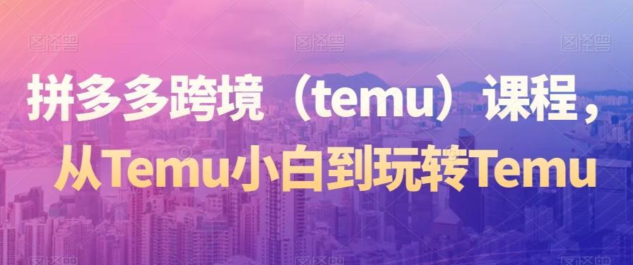 拼多多跨境（temu）课程，从Temu小白到玩转Temu-创薯资源