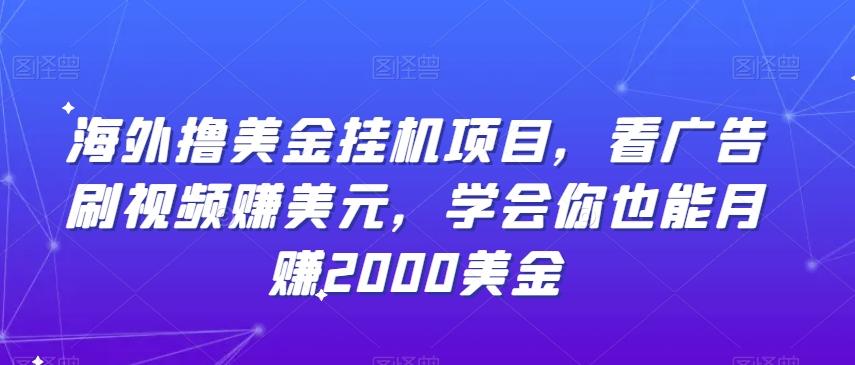 海外撸美金挂机项目，看广告刷视频赚美元，学会你也能月赚2000美金-创薯资源