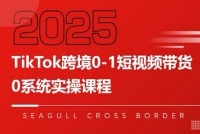 TikTok跨境0-1短视频带货，系统拆解TikTok跨境带货全链路，实现跨境可持续盈利-创薯资源