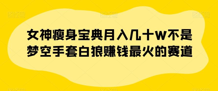 女神瘦身宝典月入几十W不是梦空手套白狼赚钱最火的赛道【揭秘】-创薯资源