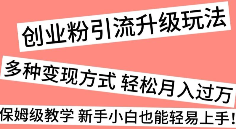 创业粉引流升级玩法，多种变现方式轻松月入过万，保姆级教学新手小白也能轻易上手！-创薯资源
