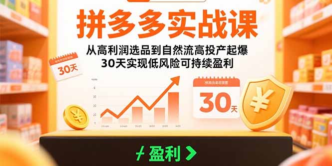 拼多多实战课：从高利润选品到自然流高投产起爆 30天实现低风险可持续盈利-创薯资源