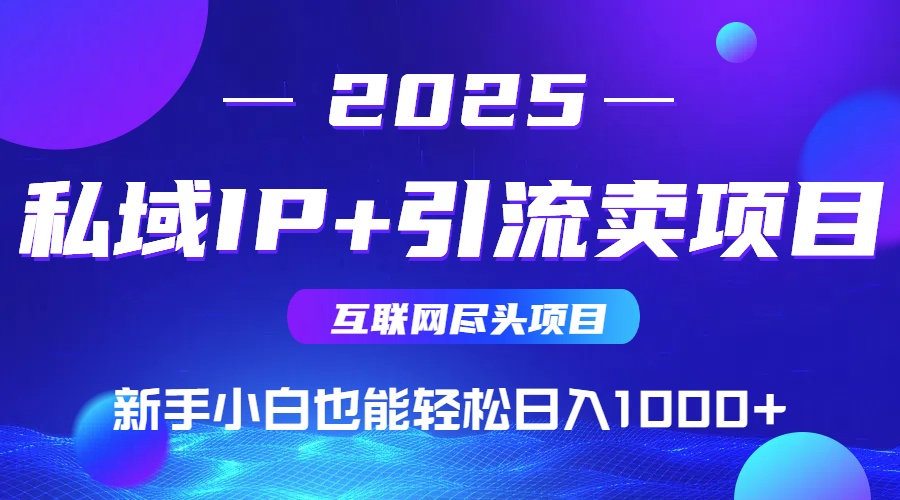 2025网创尽头项目，私域IP+引流，新手小白也能在家日入1000+-创薯资源
