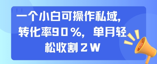 一个小白可操作私域，转化率90%，单月轻松收割2W-创薯资源