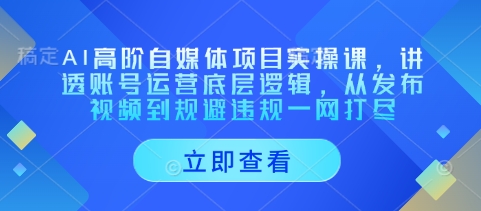 AI高阶自媒体项目实操课，讲透账号运营底层逻辑，从发布视频到规避违规一网打尽-创薯资源